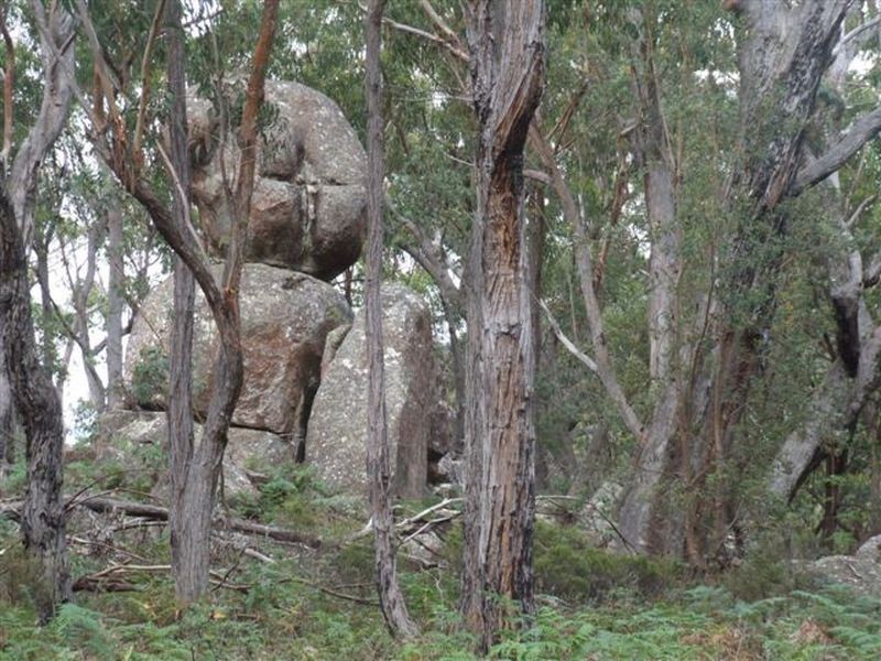 162 Bushy Park Road, Dundee NSW 2370