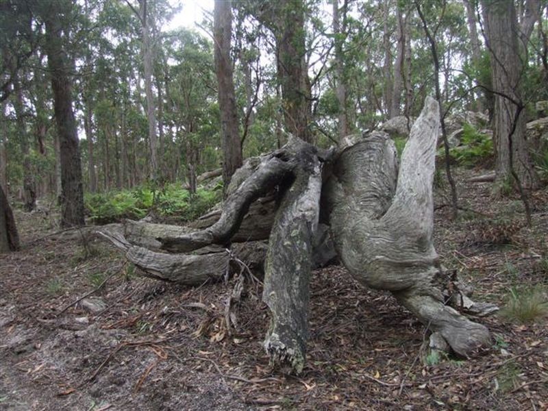 162 Bushy Park Road, Dundee NSW 2370