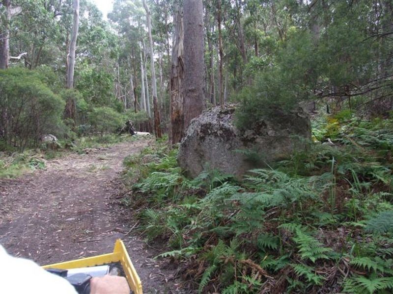 162 Bushy Park Road, Dundee NSW 2370