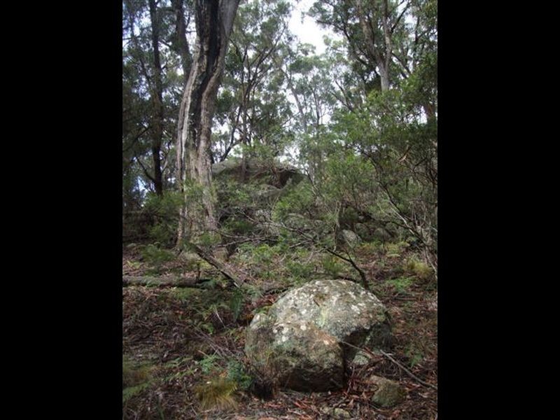 162 Bushy Park Road, Dundee NSW 2370