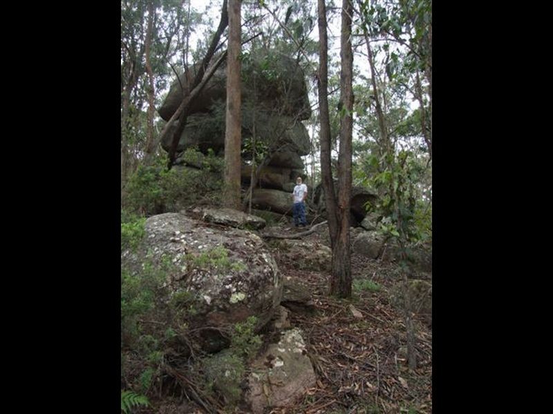 162 Bushy Park Road, Dundee NSW 2370