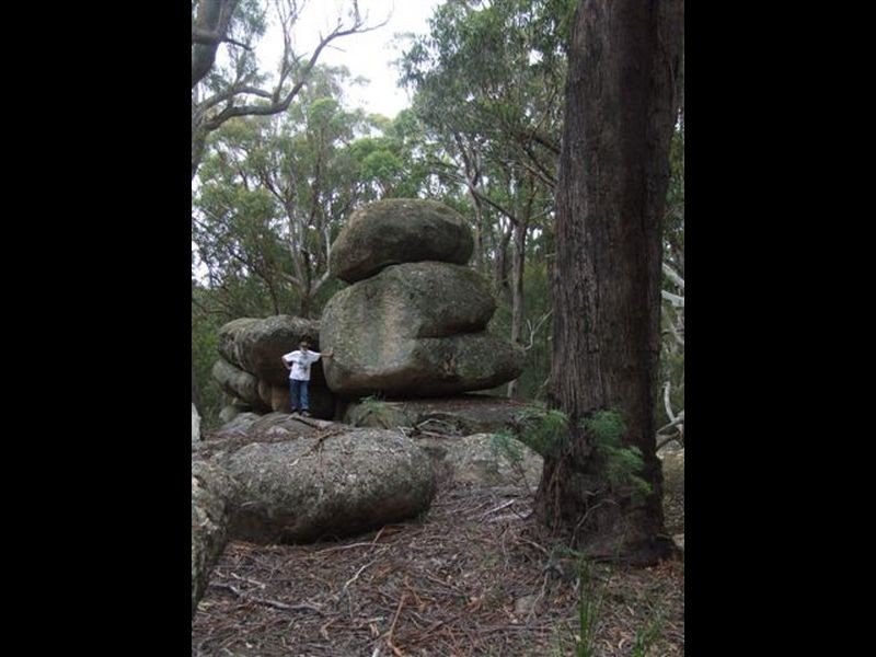 162 Bushy Park Road, Dundee NSW 2370