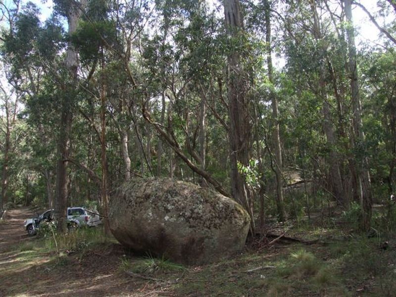 162 Bushy Park Road, Dundee NSW 2370