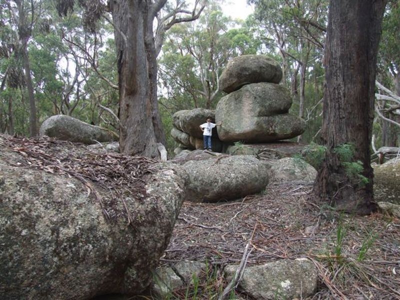 162 Bushy Park Road, Dundee NSW 2370