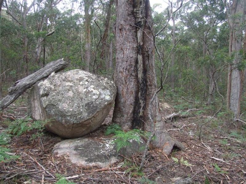 162 Bushy Park Road, Dundee NSW 2370