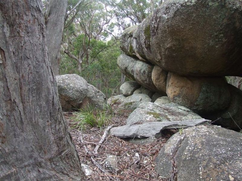 164 Bushy Park Road, Dundee NSW 2370