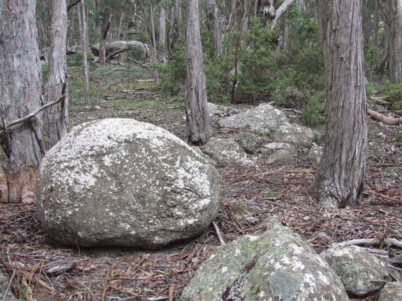 164 Bushy Park Road, Dundee NSW 2370