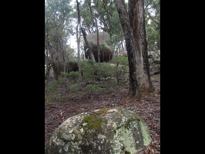 164 Bushy Park Road, Dundee NSW 2370