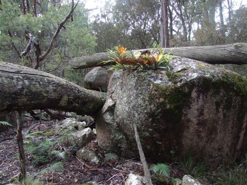 164 Bushy Park Road, Dundee NSW 2370