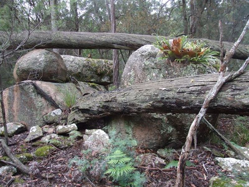 164 Bushy Park Road, Dundee NSW 2370