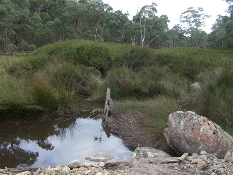 164 Bushy Park Road, Dundee NSW 2370