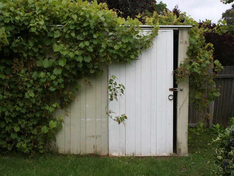 213 Ferguson Street, Glen Innes NSW 2370