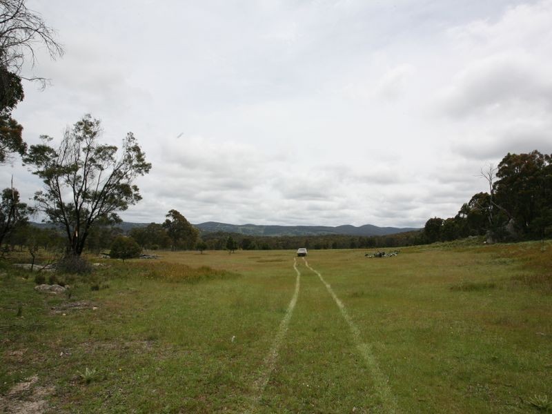 East Lynn Carrot Farm Road, Deepwater NSW 2371