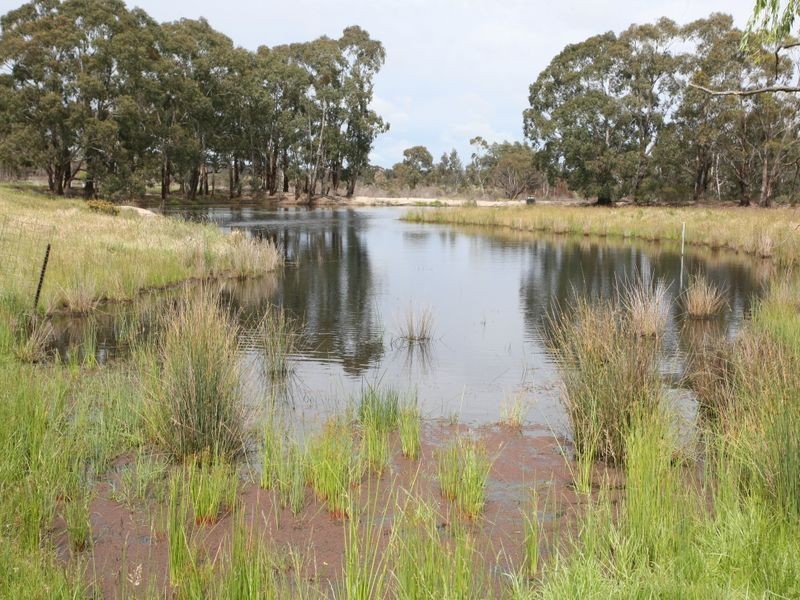 East Lynn Carrot Farm Road, Deepwater NSW 2371