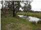 East Lynn Carrot Farm Road, Deepwater NSW 2371