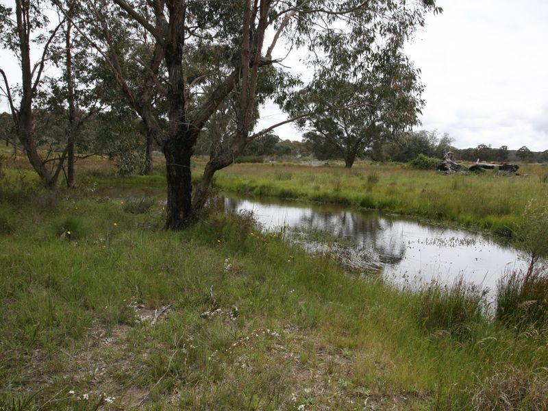 East Lynn Carrot Farm Road, Deepwater NSW 2371