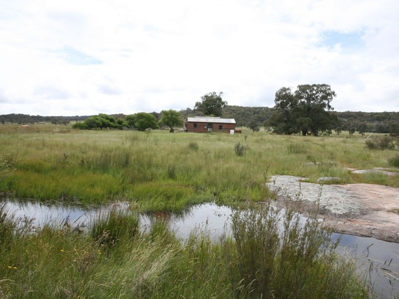 East Lynn Carrot Farm Road, Deepwater NSW 2371