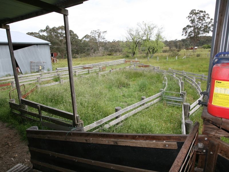 East Lynn Carrot Farm Road, Deepwater NSW 2371
