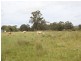 East Lynn Carrot Farm Road, Deepwater NSW 2371