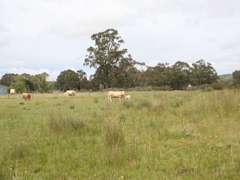 East Lynn Carrot Farm Road, Deepwater NSW 2371