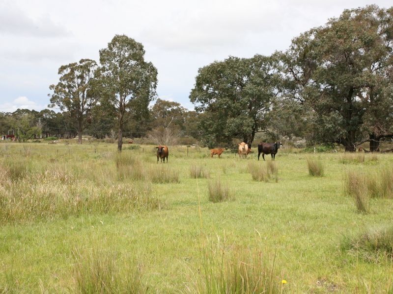 East Lynn Carrot Farm Road, Deepwater NSW 2371