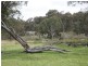 East Lynn Carrot Farm Road, Deepwater NSW 2371