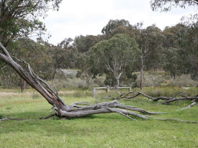 East Lynn Carrot Farm Road, Deepwater NSW 2371