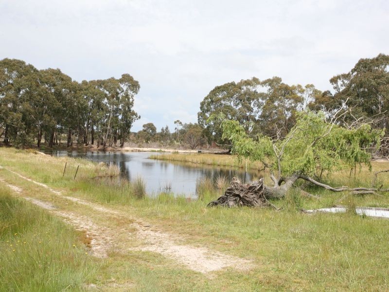 East Lynn Carrot Farm Road, Deepwater NSW 2371