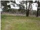 East Lynn Carrot Farm Road, Deepwater NSW 2371
