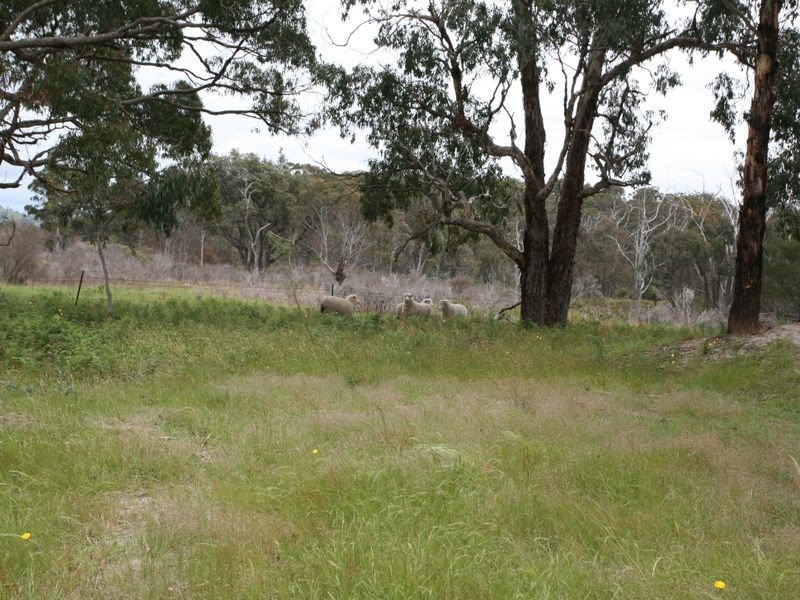East Lynn Carrot Farm Road, Deepwater NSW 2371