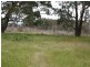 East Lynn Carrot Farm Road, Deepwater NSW 2371