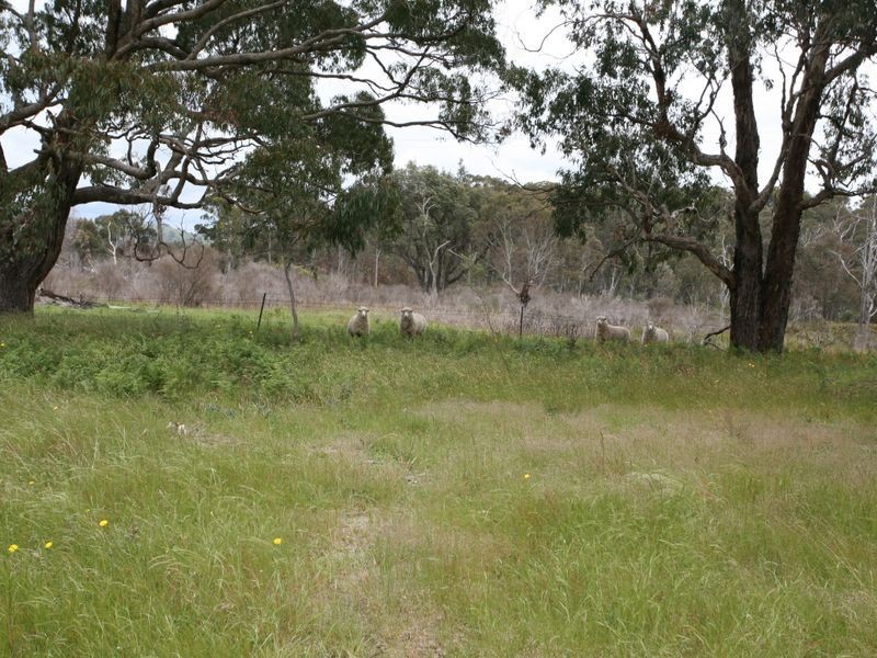 East Lynn Carrot Farm Road, Deepwater NSW 2371