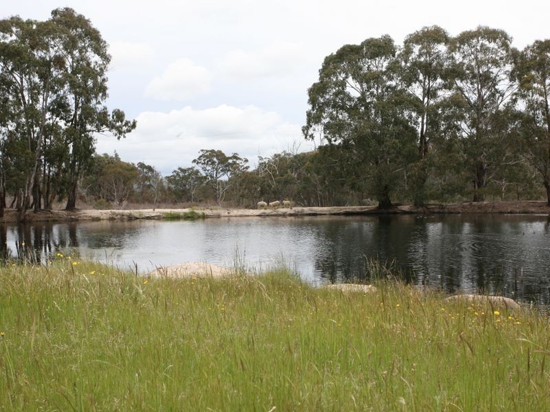 East Lynn Carrot Farm Road, Deepwater NSW 2371