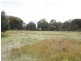 East Lynn Carrot Farm Road, Deepwater NSW 2371