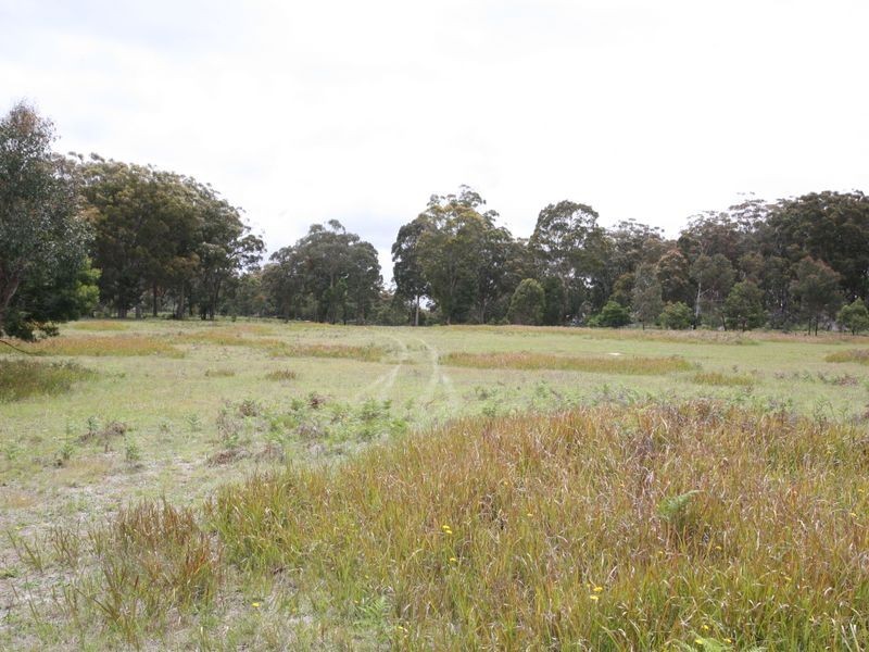 East Lynn Carrot Farm Road, Deepwater NSW 2371
