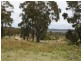 East Lynn Carrot Farm Road, Deepwater NSW 2371