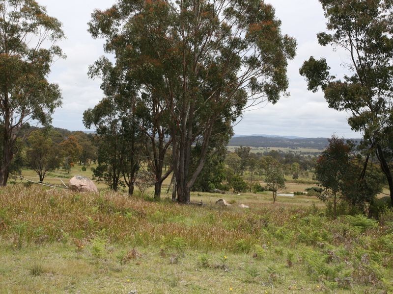 East Lynn Carrot Farm Road, Deepwater NSW 2371