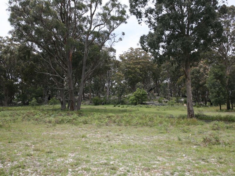East Lynn Carrot Farm Road, Deepwater NSW 2371