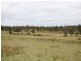 East Lynn Carrot Farm Road, Deepwater NSW 2371