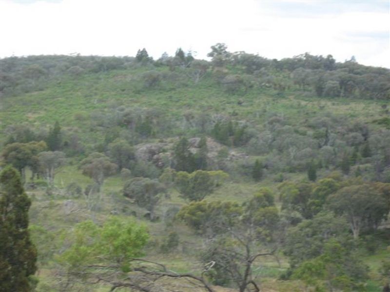 Lot 43/750 South Valley Road, Ashford NSW 2361