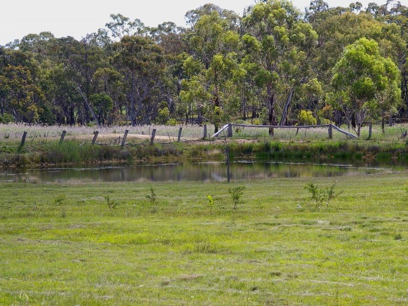 1197 Torrington Road, Deepwater NSW 2371