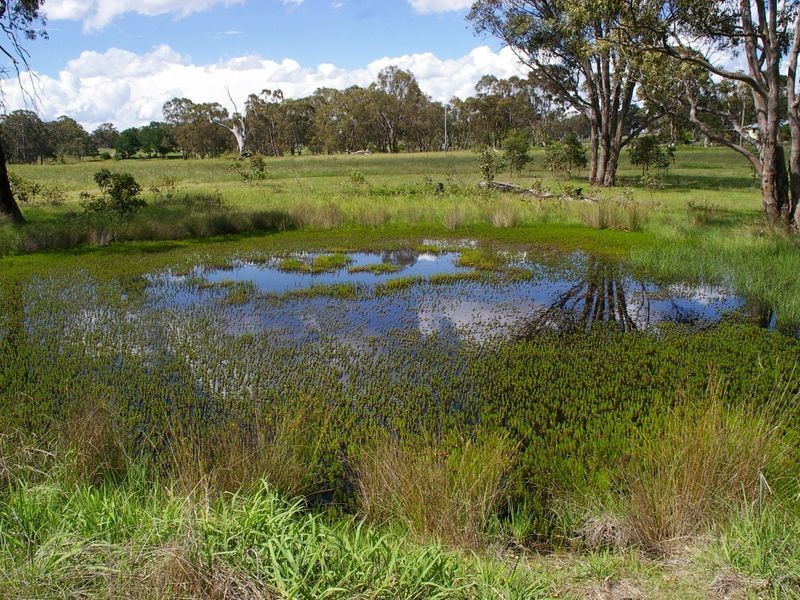 1197 Torrington Road, Deepwater NSW 2371