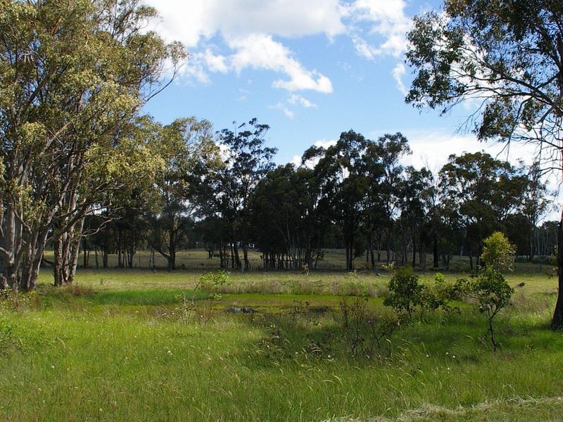 1197 Torrington Road, Deepwater NSW 2371