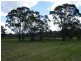 1197 Torrington Road, Deepwater NSW 2371