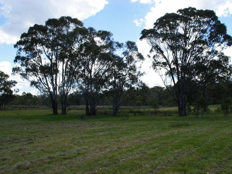 1197 Torrington Road, Deepwater NSW 2371