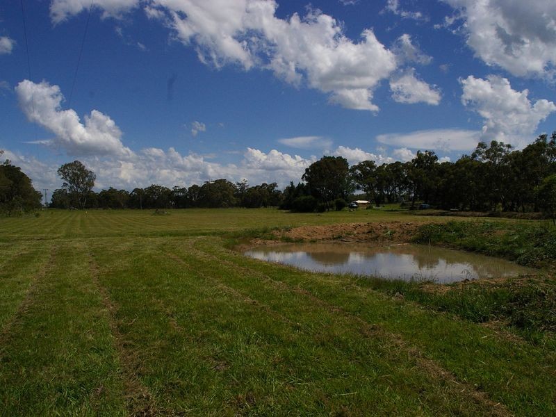 1197 Torrington Road, Deepwater NSW 2371