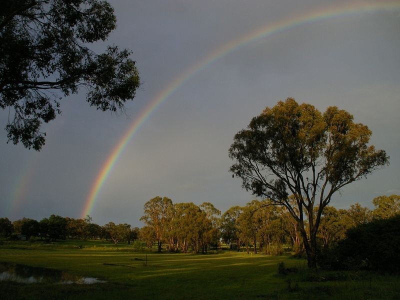 1197 Torrington Road, Deepwater NSW 2371