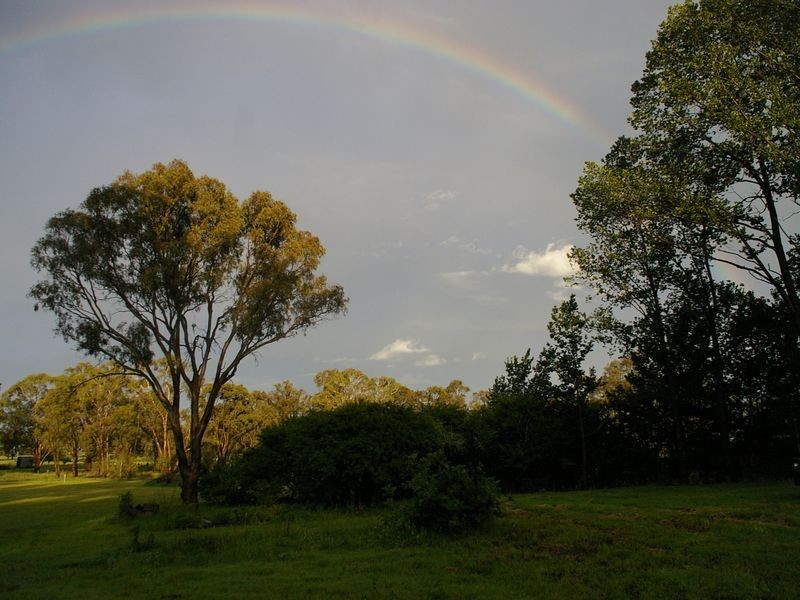 1197 Torrington Road, Deepwater NSW 2371