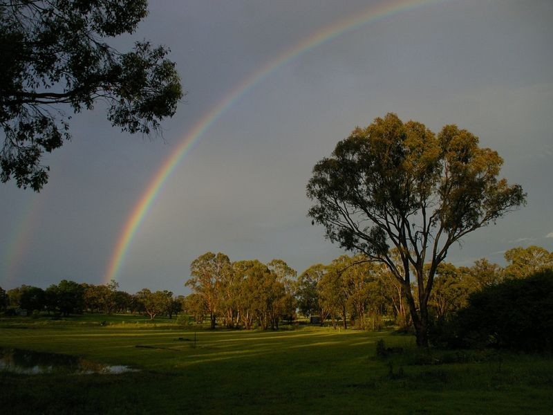 1197 Torrington Road, Deepwater NSW 2371