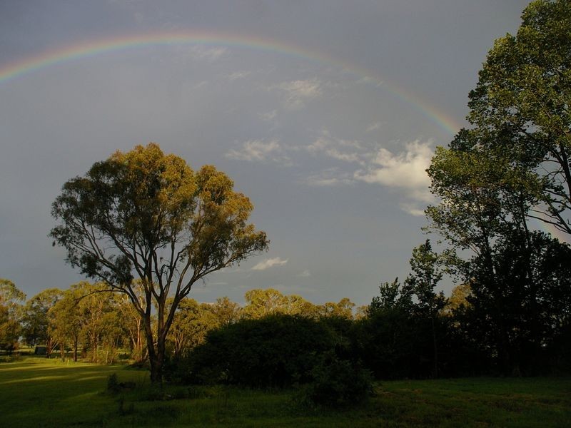 1197 Torrington Road, Deepwater NSW 2371